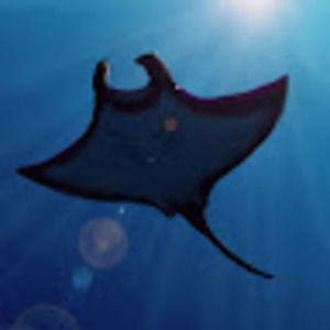 Meet your Posher, Calista